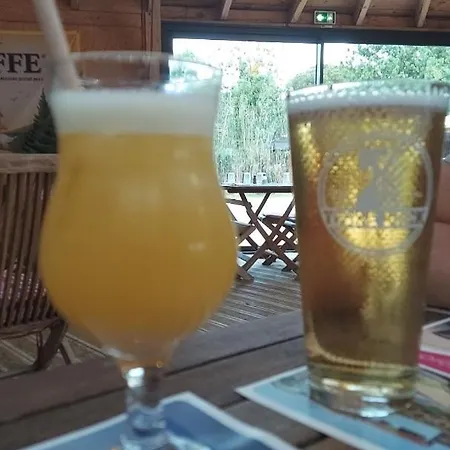 Myoctavia Au Sein D'un 5 Etoiles