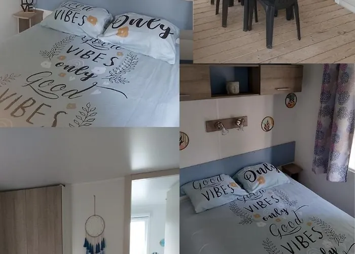 Holiday park Mobil Myoctavia 5 Etoiles Animaux Acceptes Sur Demande *